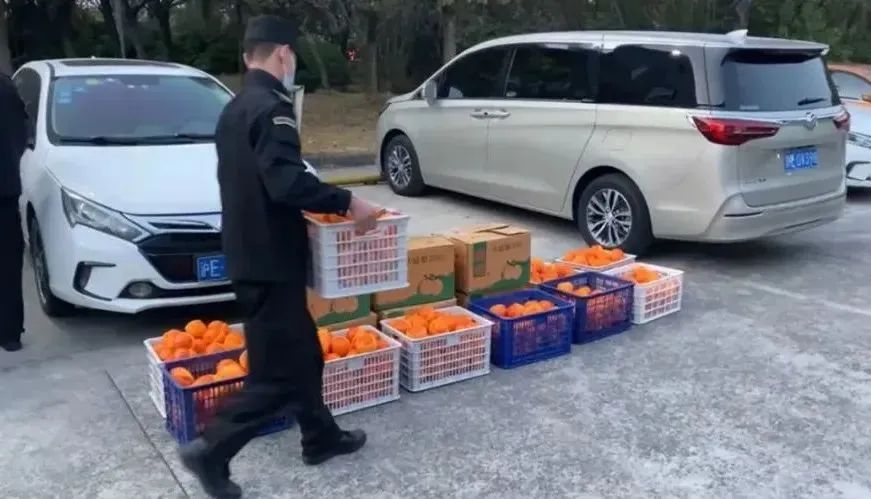 九游老哥J9俱乐部官网 - J9俱乐部老哥交流社区